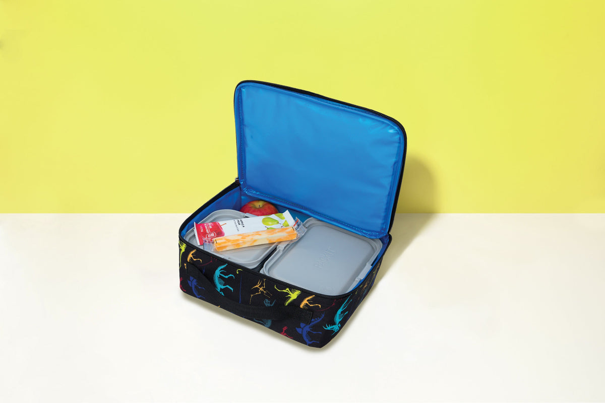 freezable-lunch-box-limited-edition-d4 2022_Lifestyle_Lunch-Box_Dino_Fossils2_Hires.jpg