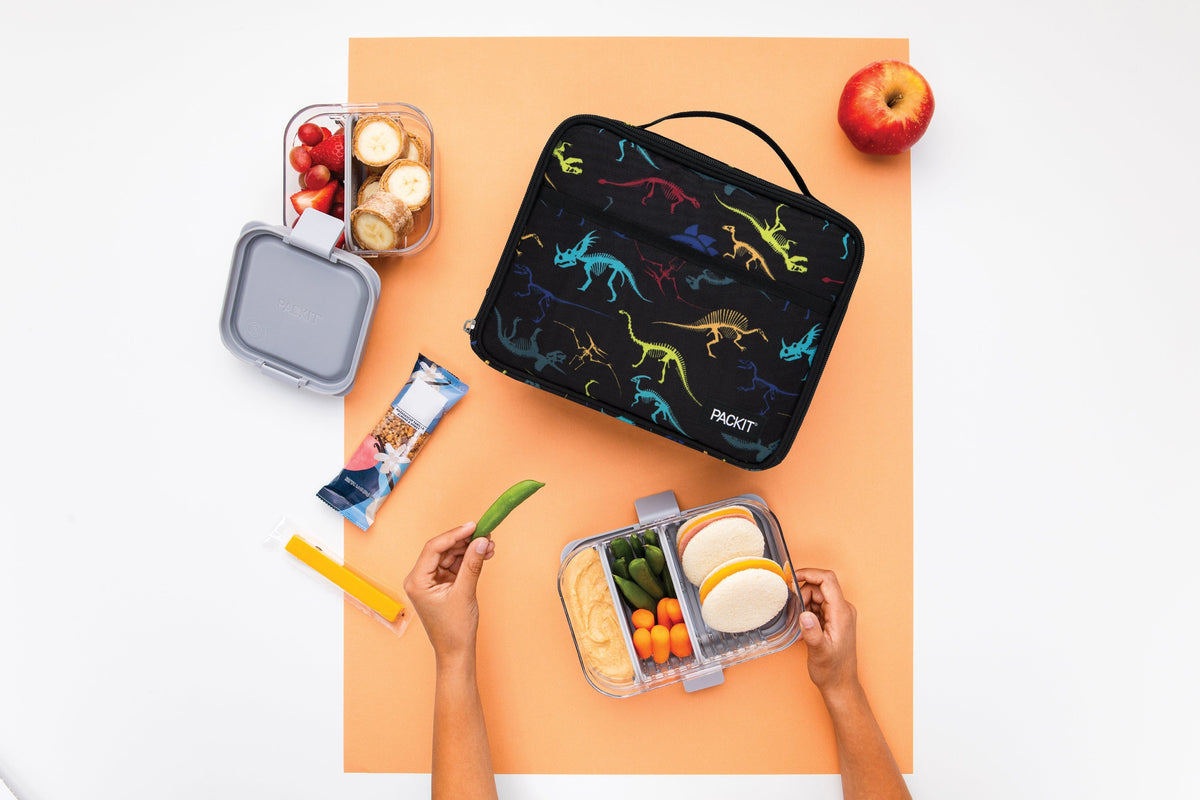 freezable-lunch-box-limited-edition-d4 2022_Lifestyle_Lunch-Box_Dino_Fossils_Hires.jpg